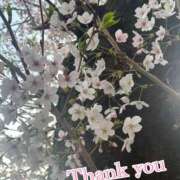 ヒメ日記 2026/04/09 09:55 投稿 石山ゆうか 五反田マーマレード(ユメオト)