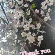 ヒメ日記 2026/04/09 15:34 投稿 石山ゆうか 五反田マーマレード(ユメオト)