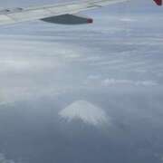 ヒメ日記 2026/05/01 14:58 投稿 石山ゆうか 五反田マーマレード(ユメオト)