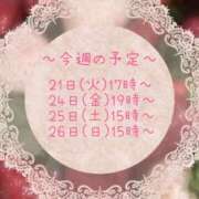 ヒメ日記 2026/04/21 00:34 投稿 サクラ ちゃんこ本厚木店