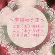ヒメ日記 2026/06/01 23:23 投稿 サクラ ちゃんこ本厚木店