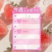 ヒメ日記 2026/06/08 12:01 投稿 サクラ ちゃんこ本厚木店