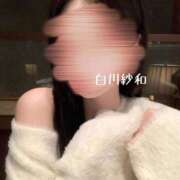 ヒメ日記 2026/02/11 09:21 投稿 Sawa Shirakawa PRECIOUS