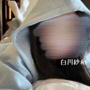 ヒメ日記 2026/02/21 12:41 投稿 Sawa Shirakawa PRECIOUS