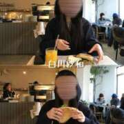 ヒメ日記 2026/02/22 17:02 投稿 Sawa Shirakawa PRECIOUS