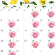 ヒメ日記 2026/02/22 20:11 投稿 Sawa Shirakawa PRECIOUS