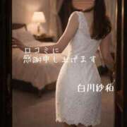 ヒメ日記 2026/02/24 19:31 投稿 Sawa Shirakawa PRECIOUS