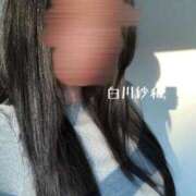 ヒメ日記 2026/02/26 08:11 投稿 Sawa Shirakawa PRECIOUS