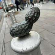 ヒメ日記 2026/02/27 19:11 投稿 Sawa Shirakawa PRECIOUS