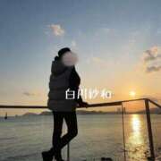 ヒメ日記 2026/02/28 08:21 投稿 Sawa Shirakawa PRECIOUS