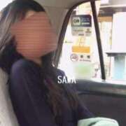 ヒメ日記 2026/03/11 08:01 投稿 Sawa Shirakawa PRECIOUS