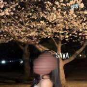 Sawa Shirakawa セルフ痴女で楽しむ日々 PRECIOUS