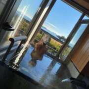 ヒメ日記 2026/02/08 20:00 投稿 ひなた One More奥様 大宮店