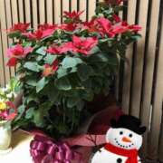 ヒメ日記 2024/12/09 23:59 投稿 まさこ 奥様の実話 梅田店