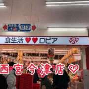 ヒメ日記 2024/12/20 23:57 投稿 まさこ 奥様の実話 梅田店