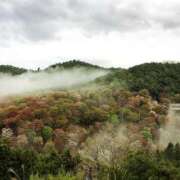 ヒメ日記 2025/04/13 07:25 投稿 まさこ 奥様の実話 梅田店