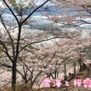 ヒメ日記 2025/04/14 23:57 投稿 まさこ 奥様の実話 梅田店