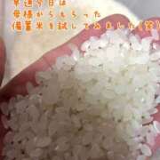 ヒメ日記 2025/06/03 23:22 投稿 まさこ 奥様の実話 梅田店