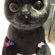 ヒメ日記 2025/07/09 23:59 投稿 まさこ 奥様の実話 梅田店