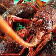 ヒメ日記 2025/08/24 15:08 投稿 まさこ 奥様の実話 梅田店