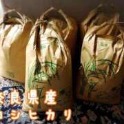 ヒメ日記 2025/10/26 23:53 投稿 まさこ 奥様の実話 梅田店