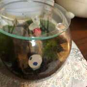 ヒメ日記 2025/12/25 14:35 投稿 まさこ 奥様の実話 梅田店