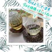 ヒメ日記 2026/03/03 09:03 投稿 七瀬ゆず お姉さんLABO -艶-