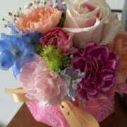 ヒメ日記 2026/01/29 21:57 投稿 大園せれな 熟女パラダイス岐阜羽島店（カサブランカグループ）