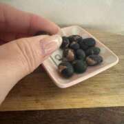 ヒメ日記 2026/02/03 09:57 投稿 大園せれな 熟女パラダイス岐阜羽島店（カサブランカグループ）