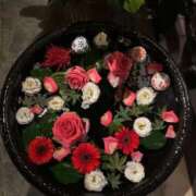 ヒメ日記 2026/02/06 10:55 投稿 大園せれな 熟女パラダイス岐阜羽島店（カサブランカグループ）