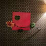 ヒメ日記 2026/02/16 19:11 投稿 大園せれな 熟女パラダイス岐阜羽島店（カサブランカグループ）