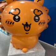 ヒメ日記 2026/03/01 12:07 投稿 大園せれな 熟女パラダイス岐阜羽島店（カサブランカグループ）