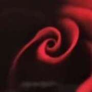 ヒメ日記 2026/03/03 13:15 投稿 大園せれな 熟女パラダイス岐阜羽島店（カサブランカグループ）