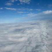 ヒメ日記 2026/03/04 02:39 投稿 大園せれな 熟女パラダイス岐阜羽島店（カサブランカグループ）