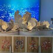 ヒメ日記 2026/03/11 11:17 投稿 大園せれな 熟女パラダイス岐阜羽島店（カサブランカグループ）