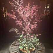 ヒメ日記 2026/03/29 23:47 投稿 大園せれな 熟女パラダイス岐阜羽島店（カサブランカグループ）