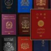 ヒメ日記 2026/04/11 22:55 投稿 大園せれな 熟女パラダイス岐阜羽島店（カサブランカグループ）