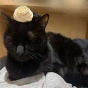 ヒメ日記 2026/02/04 18:12 投稿 さやな イキなり生彼女from大宮