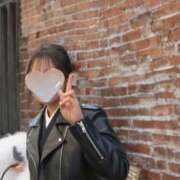 ヒメ日記 2026/02/10 15:50 投稿 りな 大阪はまちゃん日本橋店