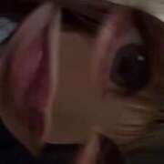 りな ありがとうございます💌 大阪はまちゃん日本橋店