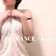 ヒメ日記 2026/02/19 21:16 投稿 (新人)こはる エレガンス(広島)