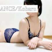 (新人)こはる ━ Next in━ エレガンス(広島)