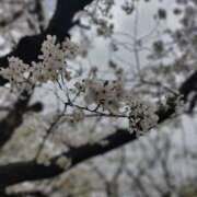 ヒメ日記 2026/04/03 08:37 投稿 しおり バカンス学園　谷九校