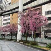 ヒメ日記 2026/03/23 13:01 投稿 甘口あまね MAHARAJA(マハラジャ)千葉