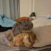 ヒメ日記 2026/02/01 16:32 投稿 とこ　元アイドル兼コスプレイヤー AROMA FACE NAKASU