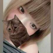 ほの おはようございますっ！ 五反田サンキュー