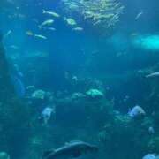 ヒメ日記 2026/02/09 18:18 投稿 らな 性の極み 技の伝道師 Ver.新横浜店