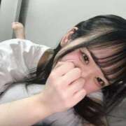 ヒメ日記 2026/02/03 12:47 投稿 なつめ IRIS(岐阜)