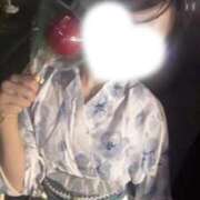 ヒメ日記 2026/04/02 19:16 投稿 なつめ IRIS(岐阜)