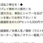 ヒメ日記 2026/02/11 11:33 投稿 のあ（ドM淫乱×爆乳Hカップ！ ハニービー（Honey Bee）